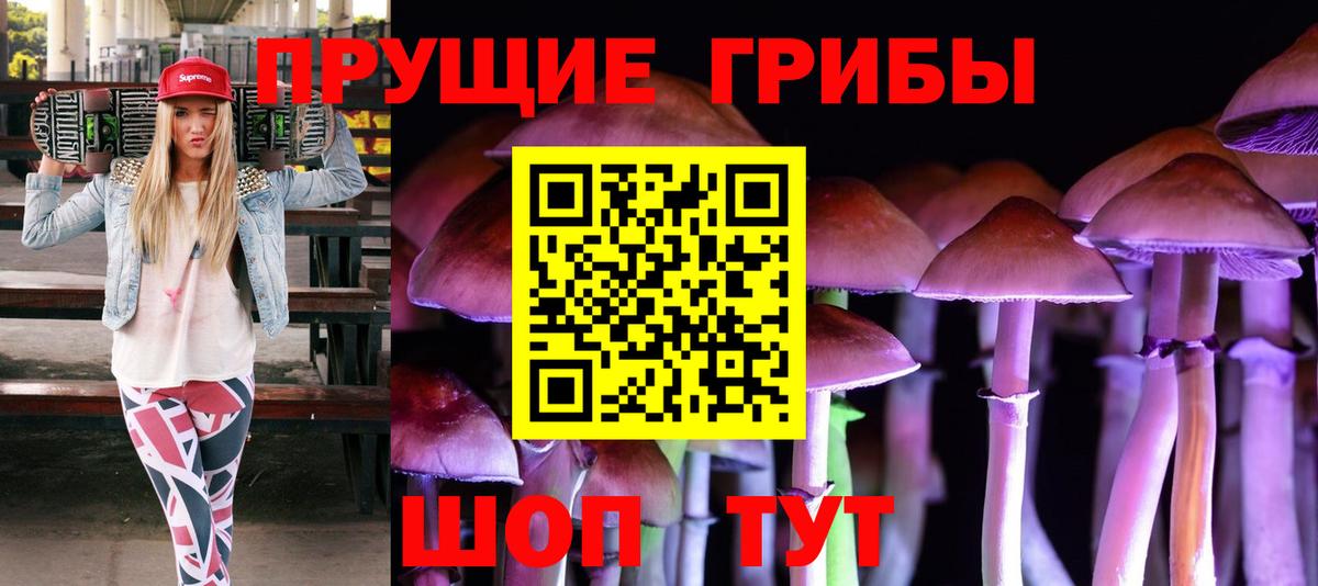 Ейск  Псилоцибиновые грибы GOLDEN TEACHER  Вход с VPN 
