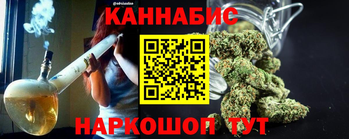 Бошки марихуана Bruce Banner  Вход с VPN  Марихуана планчик  Каннабис тримм  Каннабис индика  Ейск 